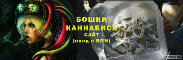 крисы Пересвет