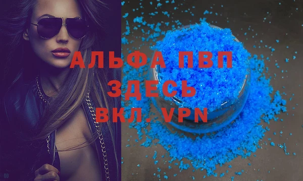 ПСИЛОЦИБИНОВЫЕ ГРИБЫ Вязники
