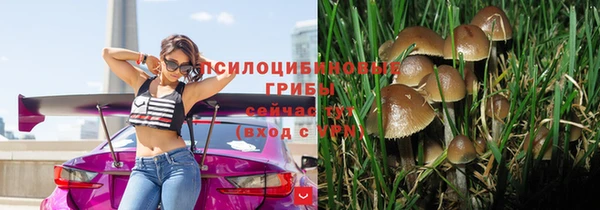 прущие крисы Горно-Алтайск