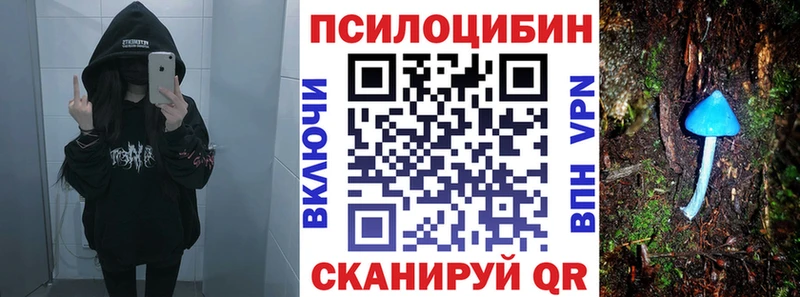 Купить Краснозаводск Галлюциногенные грибы MAGIC MUSHROOMS