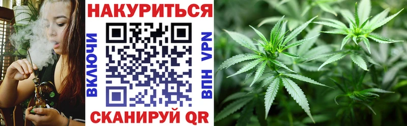 Каннабис план  Купить  Краснозаводск 